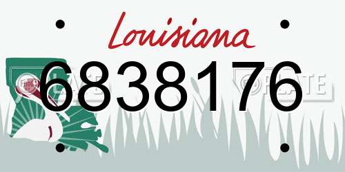 6838176 Louisiana License Plate