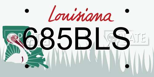 685BLS Louisiana License Plate