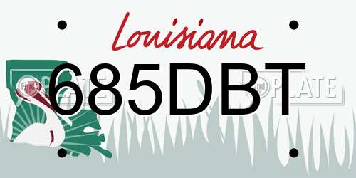 685DBT Louisiana License Plate