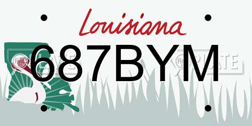 687BYM Louisiana License Plate