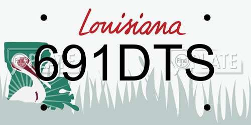 691DTS Louisiana License Plate