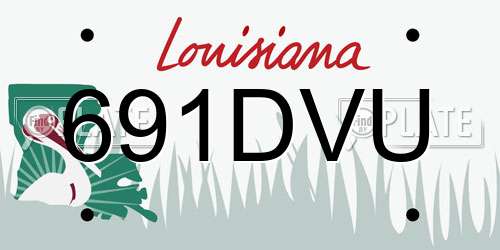 691DVU Louisiana License Plate