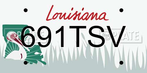 691TSV Louisiana License Plate
