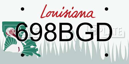 698BGD Louisiana License Plate