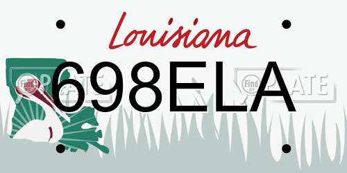 698ELA Louisiana License Plate