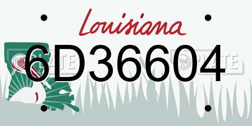 6D36604 Louisiana License Plate