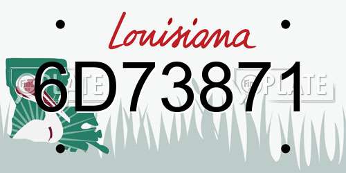6D73871 Louisiana License Plate