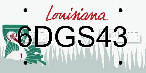 6DGS43 Louisiana License Plate