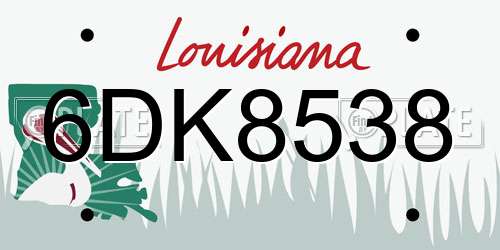 6DK8538 Louisiana License Plate