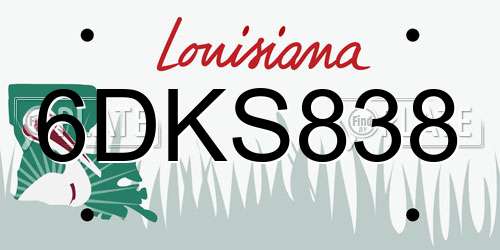 6DKS838 Louisiana License Plate