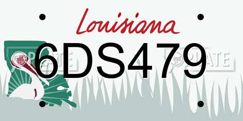 6DS479 Louisiana License Plate