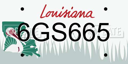 6GS665 Louisiana License Plate