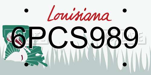 6PCS989 Louisiana License Plate