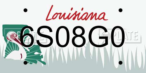 6S08G0 Louisiana License Plate