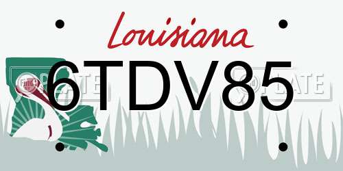 6TDV85 Louisiana License Plate