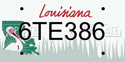 6TE386 Louisiana License Plate