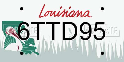 6TTD95 Louisiana License Plate