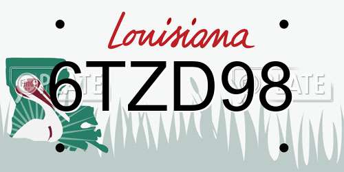 6TZD98 Louisiana License Plate