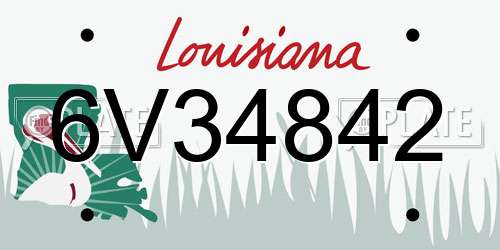 6V34842 Louisiana License Plate