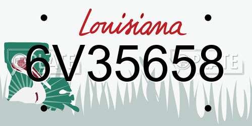 6V35658 Louisiana License Plate