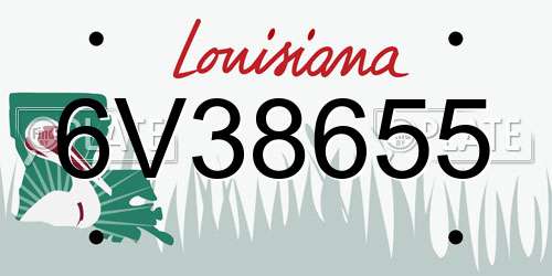 6V38655 Louisiana License Plate