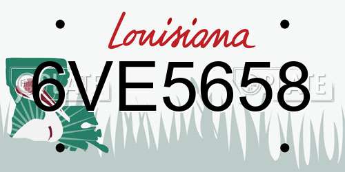 6VE5658 Louisiana License Plate