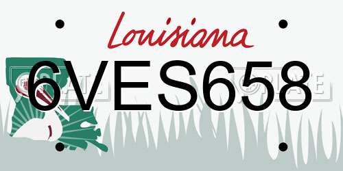 6VES658 Louisiana License Plate