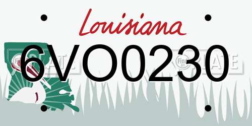6VO0230 Louisiana License Plate