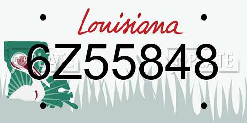 6Z55848 Louisiana License Plate