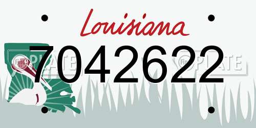 7042622 Louisiana License Plate