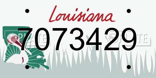 7073429 Louisiana License Plate