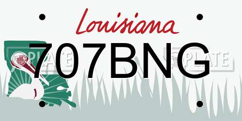 707BNG Louisiana License Plate