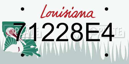 71228E4 Louisiana License Plate