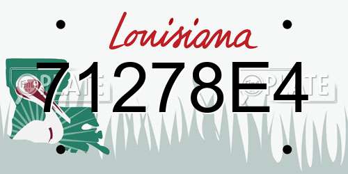 71278E4 Louisiana License Plate