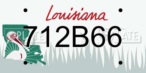 712B66 Louisiana License Plate