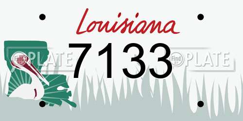 7133 Louisiana License Plate