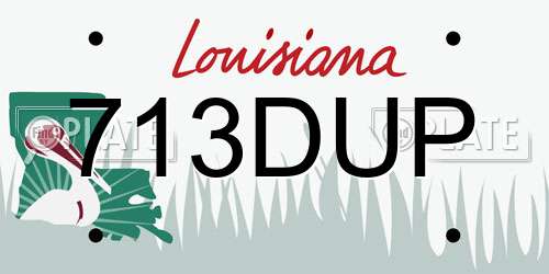 713DUP Louisiana License Plate