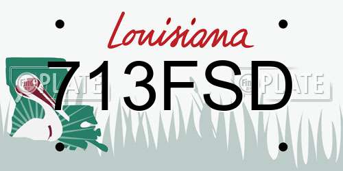 713FSD Louisiana License Plate