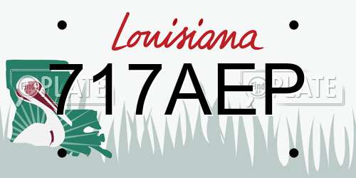 717AEP Louisiana License Plate