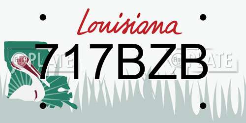 717BZB Louisiana License Plate