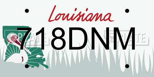 718DNM Louisiana License Plate