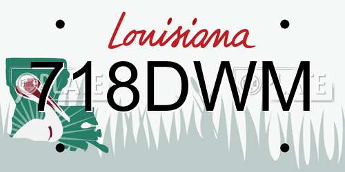 718DWM Louisiana License Plate