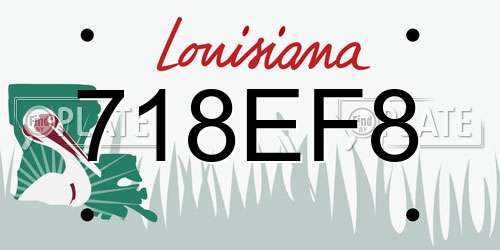 718EF8 Louisiana License Plate