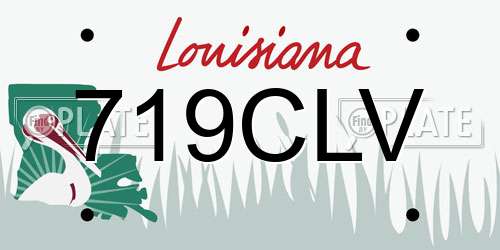 719CLV Louisiana License Plate