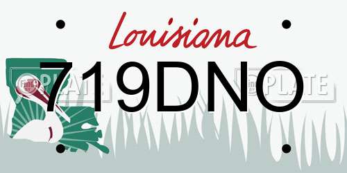 719DNO Louisiana License Plate