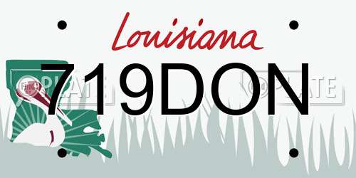 719DON Louisiana License Plate