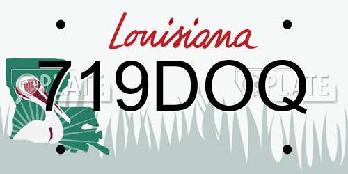 719DOQ Louisiana License Plate