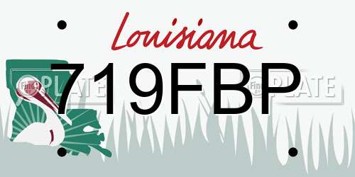 719FBP Louisiana License Plate