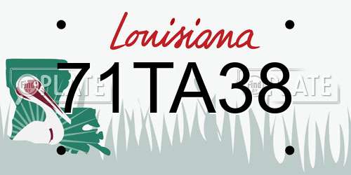 71TA38 Louisiana License Plate