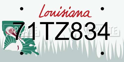 71TZ834 Louisiana License Plate